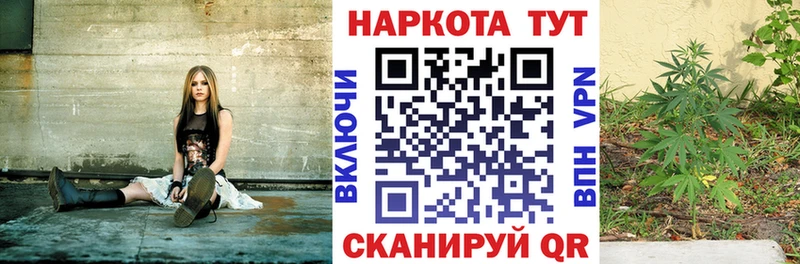 Где купить наркотики Лыткарино Кокаин  Амфетамин  Меф  Alpha PVP  ГАШИШ  Канабис 