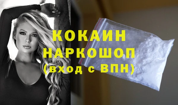 шишки Армянск