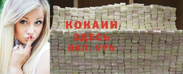шишки Армянск