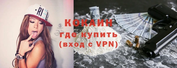 шишки Армянск